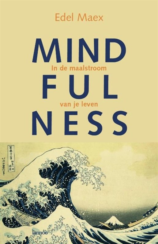 Mindfulness - in de maalstroom van je leven