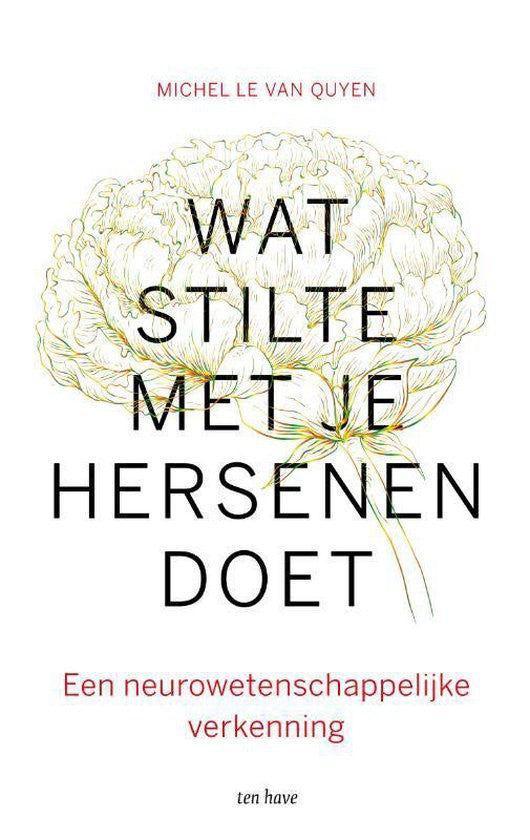 Wat stilte met je hersenen doet